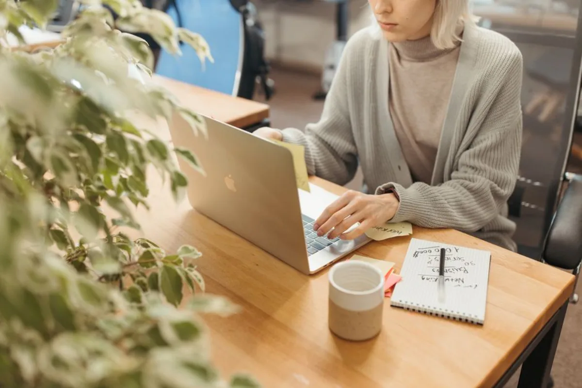 Melhores planos: como escolher